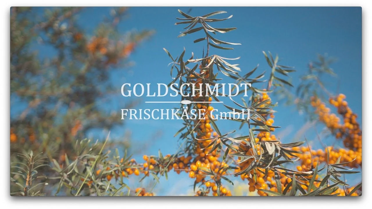 Frischkäse-Sanddorn-Praline