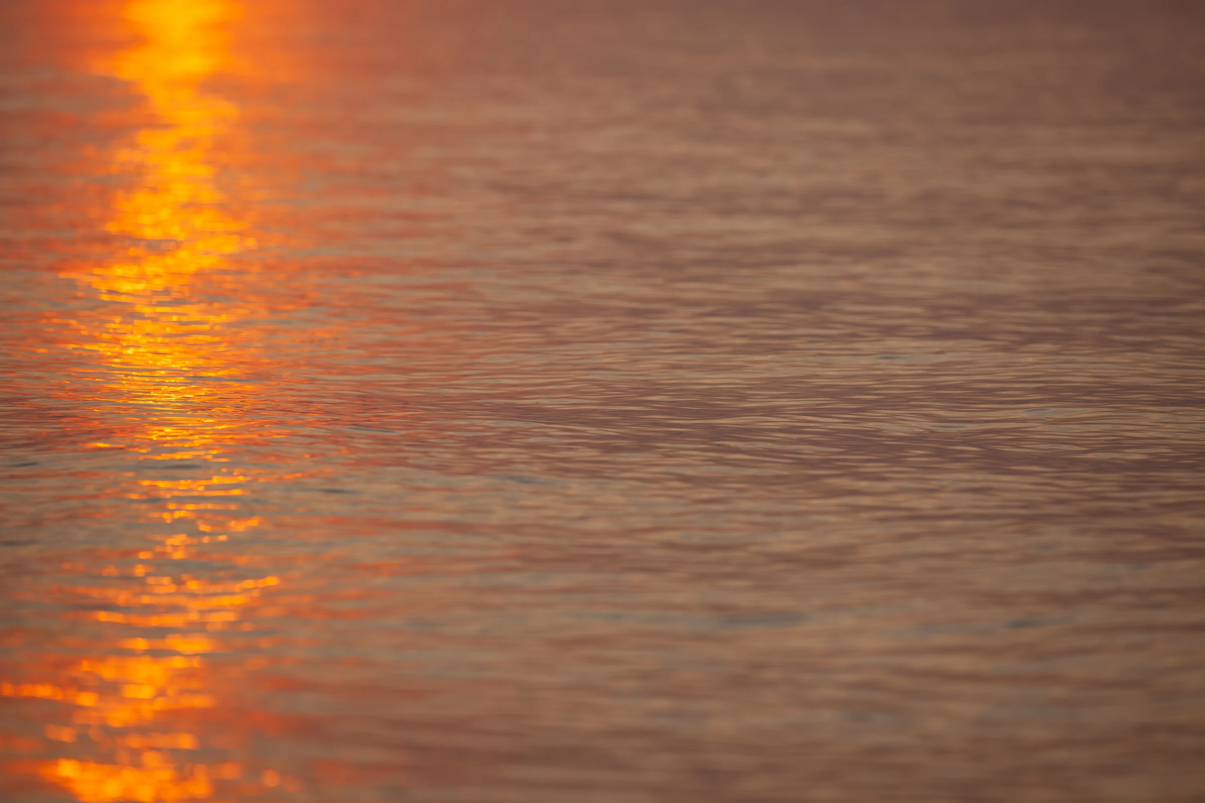 Warmes Abendlicht spiegelt sich auf der Wasseroberfläche
